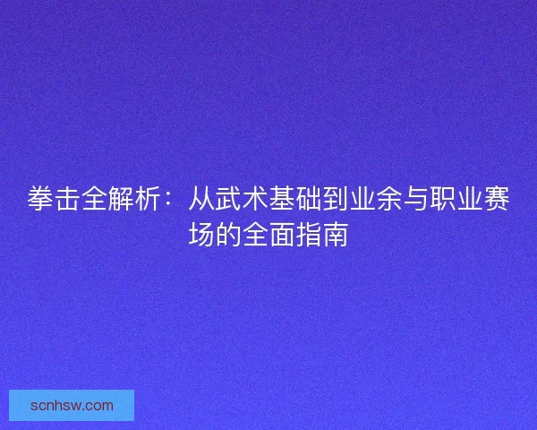 拳击全解析：从武术基础到业余与职业赛场的全面指南