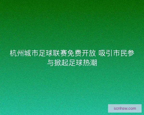 杭州城市足球联赛免费开放 吸引市民参与掀起足球热潮 杭州城市足球联赛免费开放 吸引市民参与掀起足球热潮